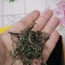湖南省新化奉家绿茶
