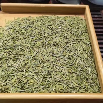 湄潭翠牙