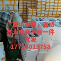 广西新鲜小米蕉，一件代发，团购，全平台一件代发