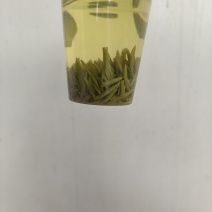 湄潭精品翠芽