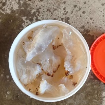 海蜇头，口感好清脆爽口基地直发