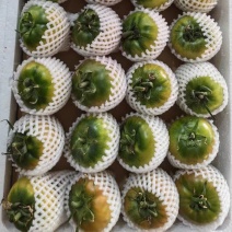 草莓柿子水果西红柿水果番茄草莓柿子铁皮柿子鹰爪柿子
