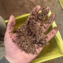 高糖枣粉高能量喂牛羊育肥快喜欢吃