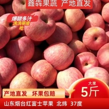 山东烟台栖霞红富士条纹苹果脆甜多汁产地直发代收代发