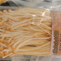黄金金针菇