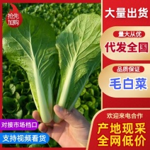 精品快菜产地直发，价格公道