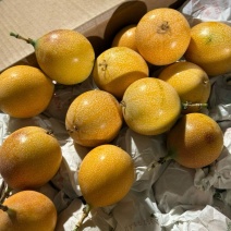 云南西双版纳热情果全规格一级二级三级代办供应