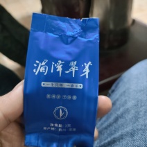 湄潭翠芽