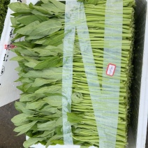 水空心菜