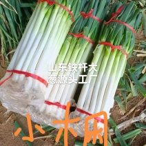 【实力供应链】山东大葱诚信良心便宜**对接电商市场团购