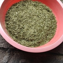 正宗安吉白茶