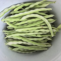 产地直发精品芸豆