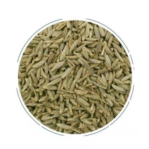 新疆孜然粒炒孜然打粉烧烤料烤鱼羊肉串孜然粉香料批发零售