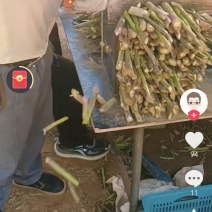 芦笋切下来的下脚料，有回收的没，量大