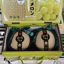 玫珑蜜瓜井藤、牛三，专业供应对接商超、对接电商平台