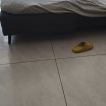 灰鸭毛