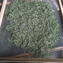 黄山毛峰祁门红茶