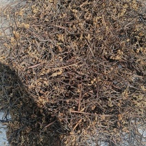 干蕨菜。