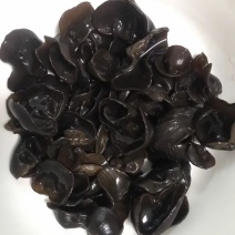 东北无根小秋耳，碗耳口感筋道爽滑