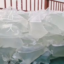 桦树汁原液