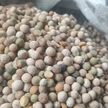 豌豆碎，豌豆瓣，豌豆，