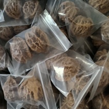 文玩核桃盘山对儿，共200对，一元一对，量大从优