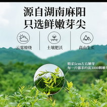 中国长寿之乡湖南麻阳雪茶