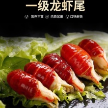 一级龙虾尾纯干货无冰衣支持样品先看货餐饮工厂都合