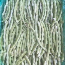 推荐芸豆白不老白豆货源充足产地一手货源价格实惠