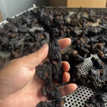 精品野生黄米青，价格实惠，数量不多