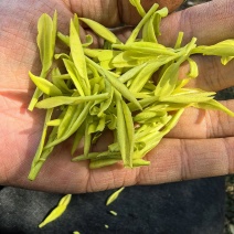茶叶