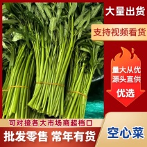 空心菜大量有货，江苏产地直发，货源充足，全年供货