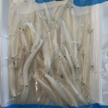 野生面条鱼，一箱20袋，一箱起批！需要的老板请联系我！