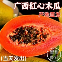 木瓜树苗黄肉红肉木瓜
