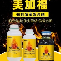 烈焰海藻碘