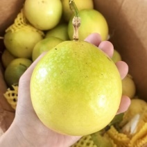 黄金百香果钦蜜9号电商一件代发源头发货