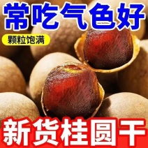 【泰国越南原产商家】泰国桂圆干龙眼干大量批发核小肉厚