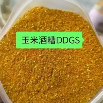 玉米酒精糟