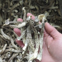 鹿茸菇，干净无杂正宗鹿茸菇干货菌菇无干燥剂炖煲汤炒菜批