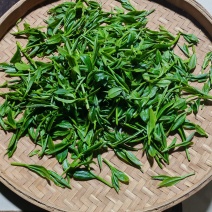 云南各类茶叶批发，土特产