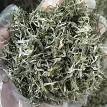 信阳毛尖茶叶