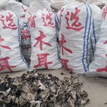 【推荐】头茬毛木耳手选水洗木耳毛木耳产地