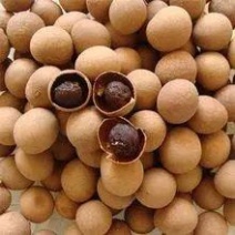 泰国桂圆干厂家一手货源