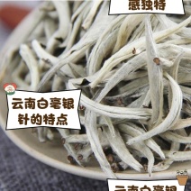 白毫银针