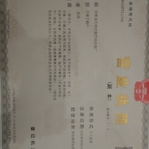河北巨鹿县水果茶加工
