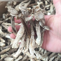鹿茸菇整件，一件180，不包运费，可以视频看货，