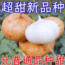 凉薯