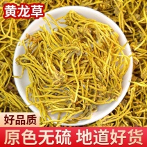 云南正宗雪山黄龙根金龙根