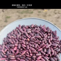 缅甸红腰豆，国内一手货源