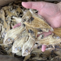 大地鱼干